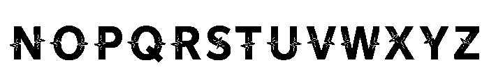 Nayad Regular Font LOWERCASE
