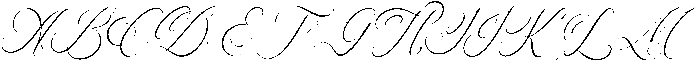 Narottewla Italic otf (400) Font UPPERCASE