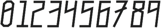 Narrow Heavy Italic otf (800) Font OTHER CHARS