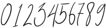 Natural Signature Regular otf (400) Font OTHER CHARS