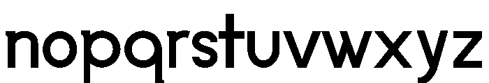 Narrenschiff Bold Font LOWERCASE