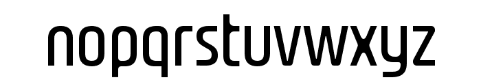 Nasional Sans Regular Font LOWERCASE