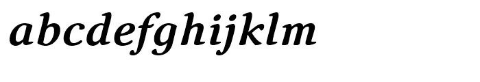 Narevik Bold Italic Font LOWERCASE