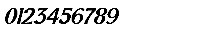 Nalkor Serif Italic Font OTHER CHARS