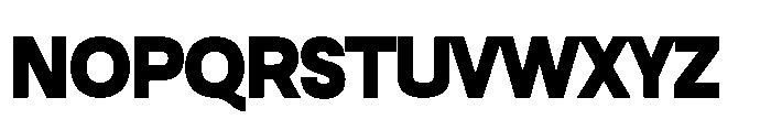 Nalte Sans Black Font UPPERCASE