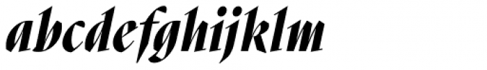 Nara Std Black Italic Font LOWERCASE