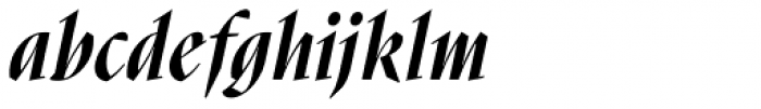 Nara Std Bold Italic Font LOWERCASE