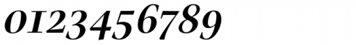 Nara Std Medium Italic Font OTHER CHARS