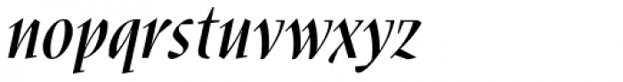 Nara Std Medium Italic Font LOWERCASE