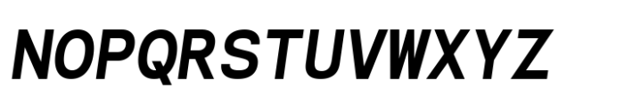 Naru Mono Extra Bold Italic Font UPPERCASE