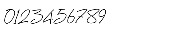 National Autographer Regular Font OTHER CHARS