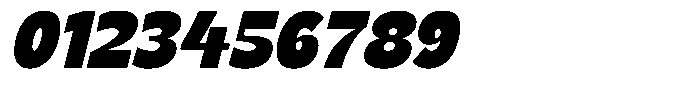 Natural Sage Italic Font OTHER CHARS