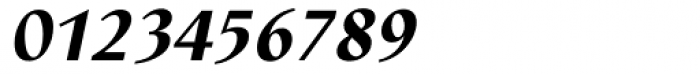 Nautilus Black Italic Font OTHER CHARS