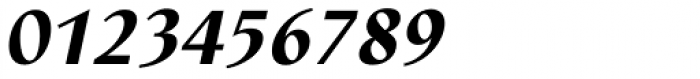 Nautilus Text Pro Black Italic Font OTHER CHARS