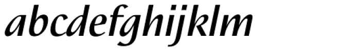 Nautilus Text Pro Medium Italic Font LOWERCASE