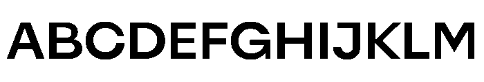 NaNFiasco Bold Font UPPERCASE