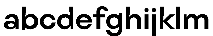 NaNFiasco Bold FONT
