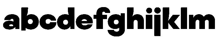 NaNFiasco ExtraBlack FONT
