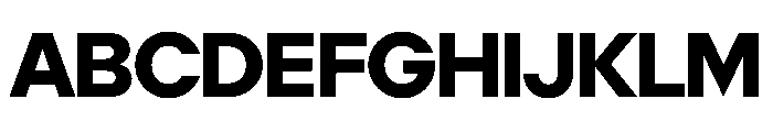 NaNFuture PREVIEW Bold Font UPPERCASE