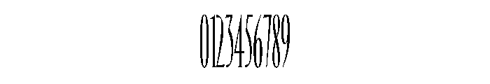 NaNHawk PREVIEW SerifRegular Font OTHER CHARS