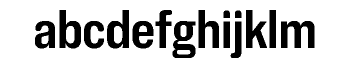 NaNHoloCondensed PREVIEW Bold FONT