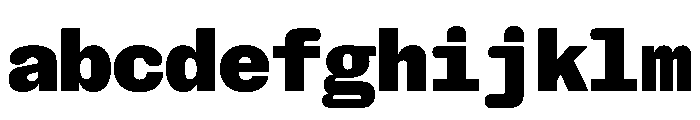 NaNHoloMono Black FONT