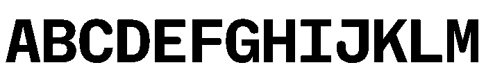 NaNHoloMono Bold Font UPPERCASE