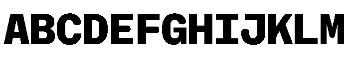 NaNHoloMono ExtraBold Font UPPERCASE