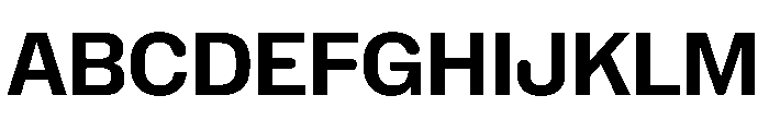 NaNHoloNarrow PREVIEW Bold Font UPPERCASE