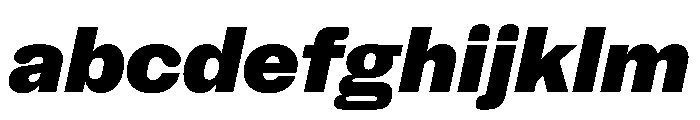 NaNHoloStandard PREVIEW BlackItalic FONT