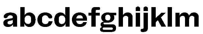NaNHoloStandard PREVIEW Bold FONT