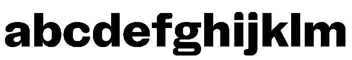 NaNHoloStandard PREVIEW ExtraBold FONT