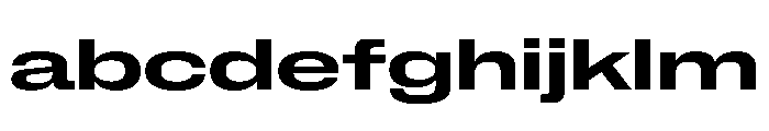 NaNMetrifyAUltrawide Bld FONT