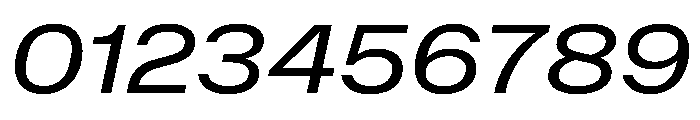NaNMetrifyAWide Italic Font OTHER CHARS