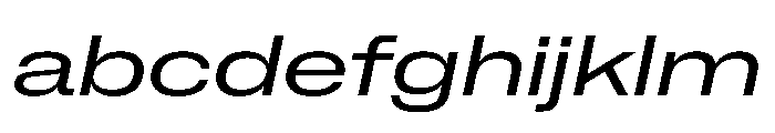 NaNMetrifyAXWide Italic FONT