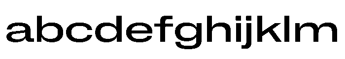 NaNMetrifyAXWide Med FONT