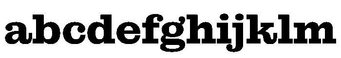 NaNRageBeauStd Bd FONT