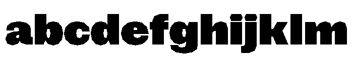 NaNRagePolyStd Blk FONT