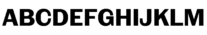 NaNRageSansNr Bd Font UPPERCASE