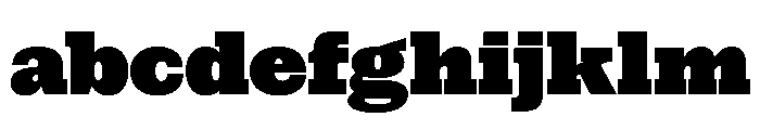 NaNRageSlabStd Blk FONT