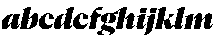 NaNSerfADisplay BlackItalic FONT