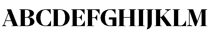 NaNSerfADisplay Bold Font UPPERCASE