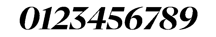 NaNSerfADisplay BoldItalic Font OTHER CHARS