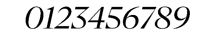 NaNSerfADisplay Italic Font OTHER CHARS