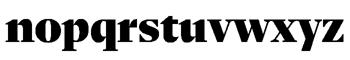 NaNSerfAHeadline Black Font LOWERCASE