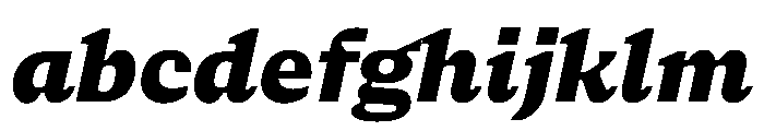 NaNSerfAMicro BlackItalic FONT