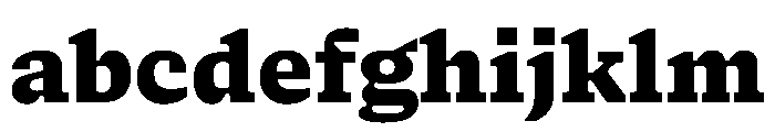NaNSerfAMicro Black FONT