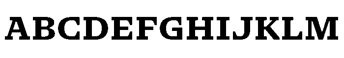 NaNSerfAMicro Bold Font UPPERCASE