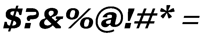 NaNSerfAMicro BoldItalic Font OTHER CHARS