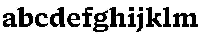 NaNSerfAMicro Bold FONT